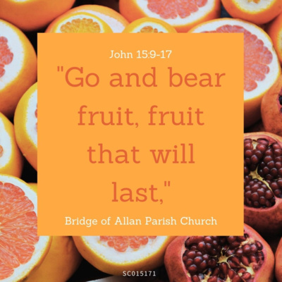 Go and bear fruit - John 15:8-17 - Sunday 9th May