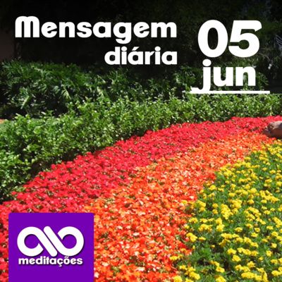 Quando me ressinto, deixo a negatividade drenar minha energia | Mensagem Diária 05/jun @Meditações 