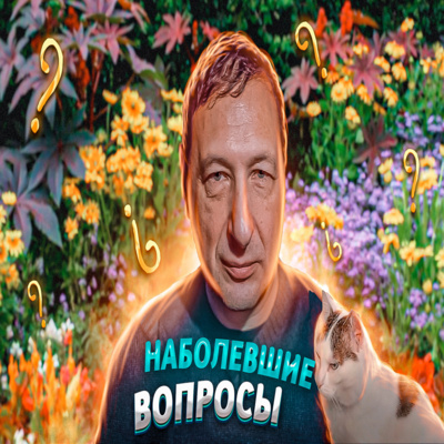 Наболевшие вопросы (Кот Степан, Борис Кагарлицкий)