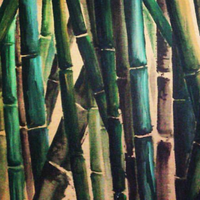 Bambú japonés Bambú japonés