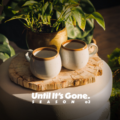 Until It\'s Gone.