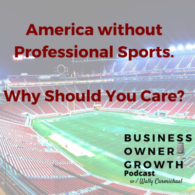 America without Professional Sports - Why Should You Care?