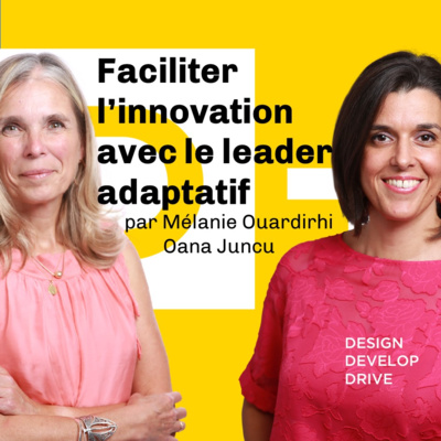 Faciliter l'innovation avec le leader adaptatif- Oana Juncu & Mélanie Ouardirhi