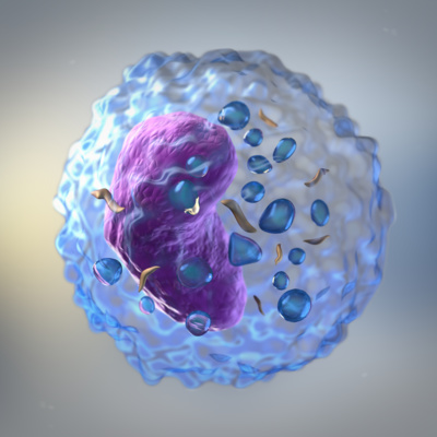 Ikke vær en Covidiot! - Spør forskerne om vaksine og immunologi.
