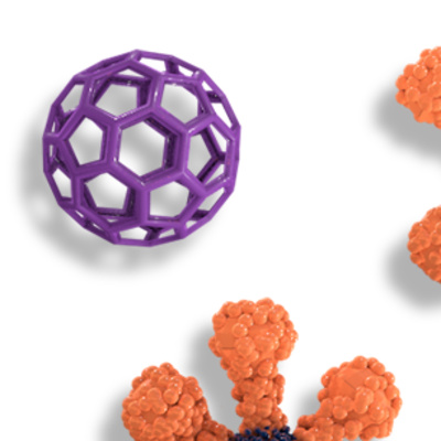 Ikke vær en Covidiot! - Spør forskerne om vaksine og immunologi.