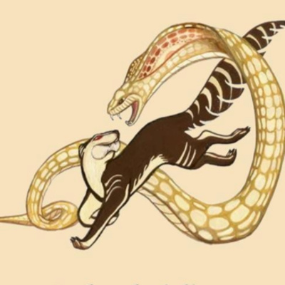 Rudyard Kipling "Rikki-tikki-tavi" - episode 2