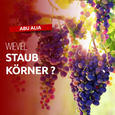 Abu Alia - Podcast und Hörreisen
