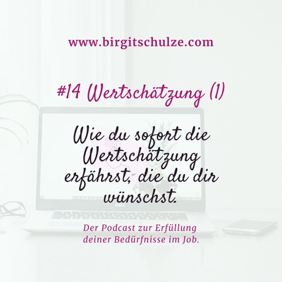 #14 Wertschätzung (1): Wie du sofort die Wertschätzung erfährst, die du dir wünschst.