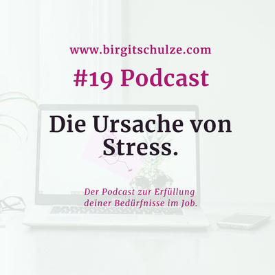 #19 Die Ursache von Stress