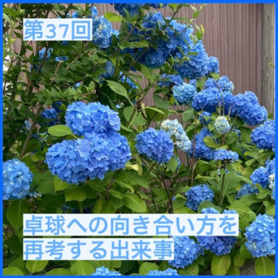 037_卓球への向き合い方を再考する出来事 037_卓球への向き合い方を再考する出来事