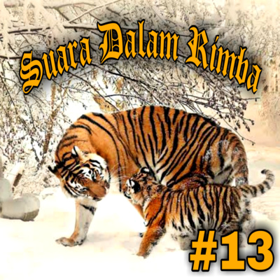 Suara Dalam Rimba | Musik Story & Comedy #13