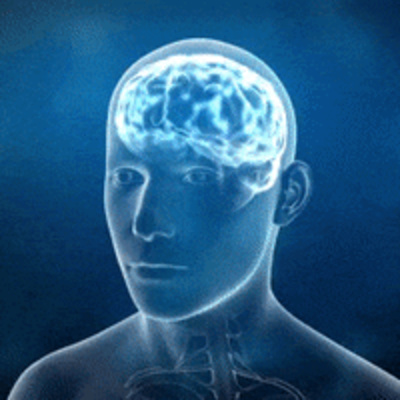 Evolution is Intelligent Design By Brett Keane episode artwork