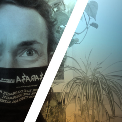 Can Art Save the Planet