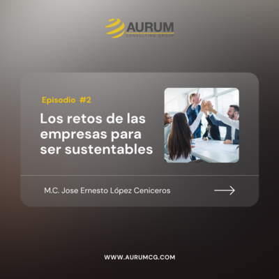 Portada de Aurum CG: El socio de tu negocio