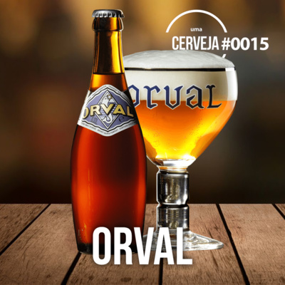 Uma Cerveja Por Dia