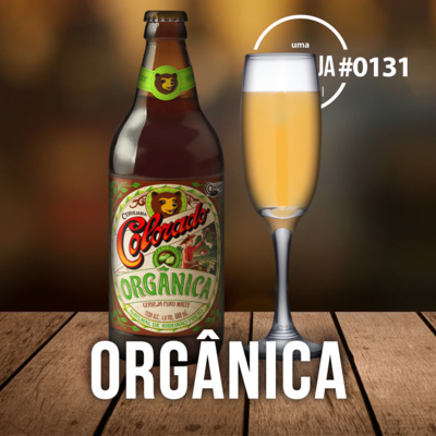 Uma Cerveja Por Dia