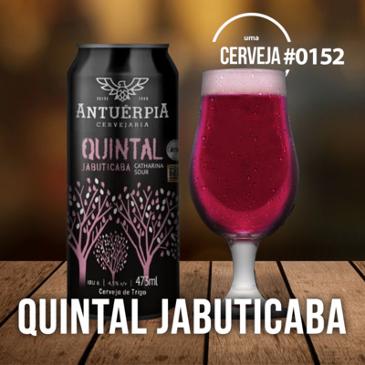 Uma Cerveja Por Dia