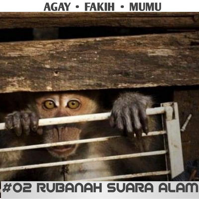 PERSONA | Casual Talk