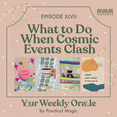 Your Weekly Oracle by Practical Magic
