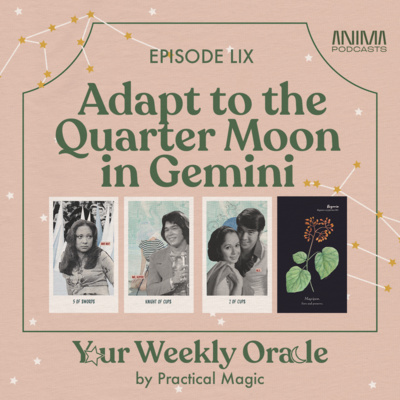 Adapt to the Quarter Moon in Gemini