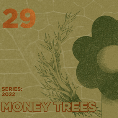 Money Trees #29 - Jhamar