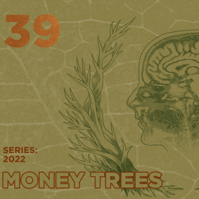 Money Trees #39 - remcycles