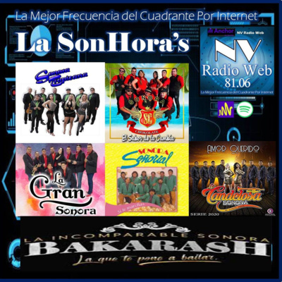 NV Radio Web 81.06