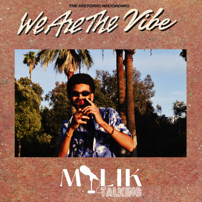 WE ARE THE VIBE