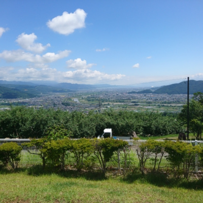 第２５回　武田上杉合戦のルーツ？　信濃の内乱・大塔合戦！