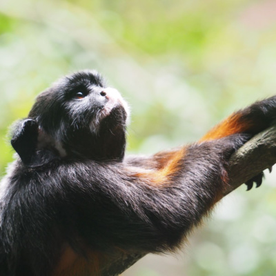 'Wanting' as a Sign of Being Alive episode artwork