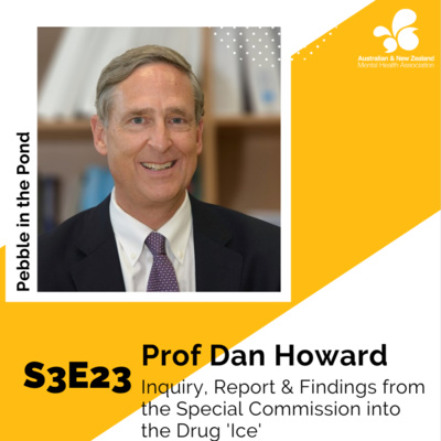 S3:E23 | Dan Howard: Inquiry, Report & Findings from the Special Commission into the Drug 'Ice'