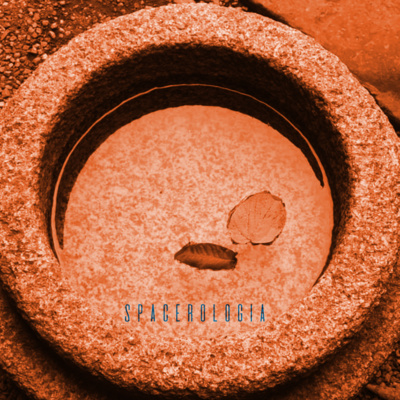 Spacerologia - Ogród Japoński z dr hab. Beatą Bochorodycz