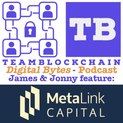 Metalink Capital on Digital Bytes - Managing digital assets: opportunities and challenges
