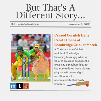 Headlines! Crazed Cornish Hens Create Chaos at Cambridge Cricket Match episode artwork