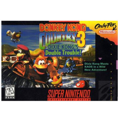 505 - Donkey Kong Country 3