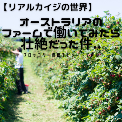 #11 リアルカイジの世界..オーストラリアのファームで働いてみたら壮絶だった件..
