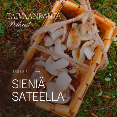 7. Sieniä sateella - meidän ensimmäinen yhteinen sieniretki ja vinkkejä sienestykseen 7. Sieniä sateella - meidän ensimmäinen yhteinen sieniretki ja vinkkejä sienestykseen