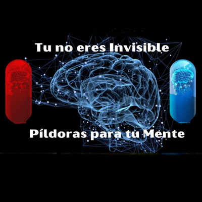 Decisiones | 88