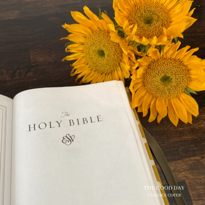 The Bible 101: How Did We Get The Bible?
