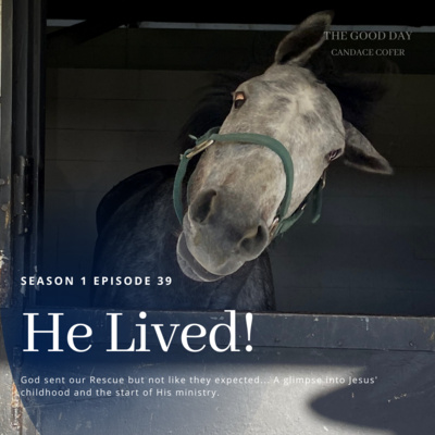 The Bible 101 - He Lived!