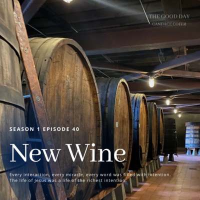 The Bible 101: New Wine and The Mission of Christ