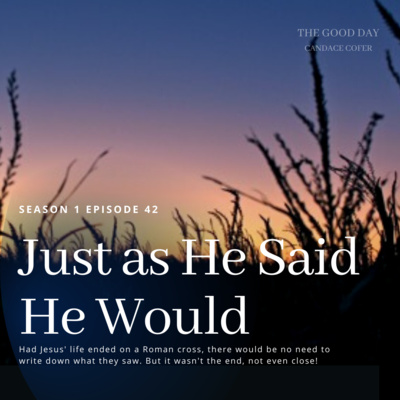 The Bible 101: Just as He Said He Would