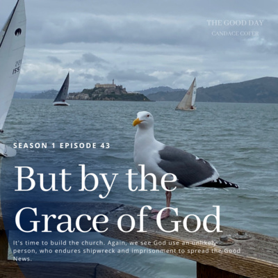 The Bible 101: But by the Grace of God