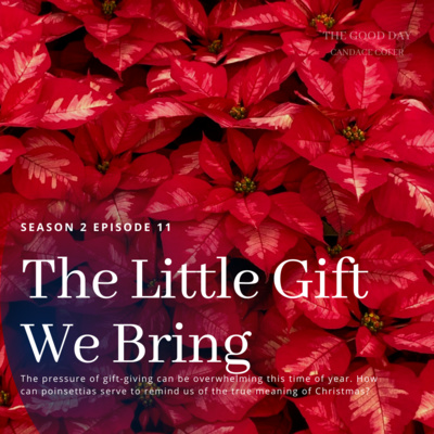 Home for the Holidays: The Little Gift We Bring