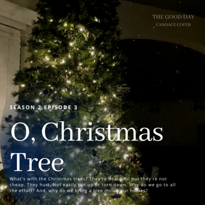 Home for the Holidays: O, Christmas Tree