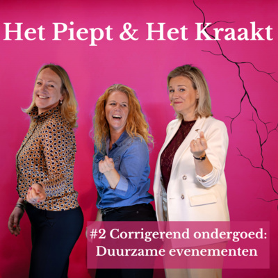 #2 Corrigerend ondergoed: Duurzame evenementen zijn niet sexy maar wel nodig!