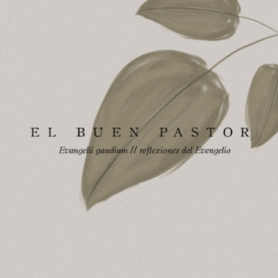 Evangelii Gaudium: Reflexiones del Evangelio