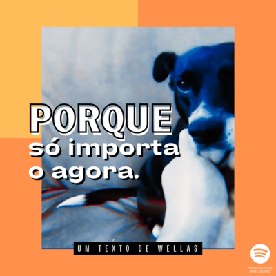 Das Minhas Fases Nascem Frases