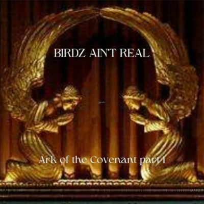 Birdz Ain\'t Real