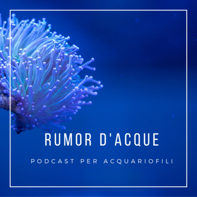RUMOR D\'ACQUE